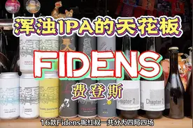第148期丨IPA的天花板，一次喝完16款Fidens（费登斯视频封面