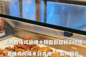 大肠菌群被曝超标290倍！#紫燕百味鸡发布声明 ：已下架，出厂内检符合标准视频封面