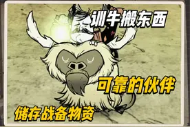 饥荒新手教程第十三期：训牛搬东西，储存战备物资 #饥荒视频封面