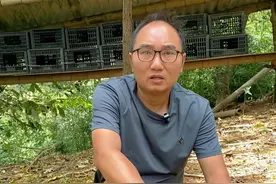 为什么果园不建议养太多鸡，原因就在这， 休养恢复了半年的土壤，才长这个样子#大坡飞鸡  #散养土鸡  #韦永学  #养鸡人  #养殖视频封面
