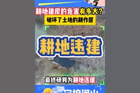 预警监控发现耕地违建： 耕地是农业生产的基础,耕地被非法占用或者用于非农业生产,直接导致了耕地资源的减少。 #违法建筑  #国土安全  #耕地保护 #耕地建房 #耕地红线视频封面