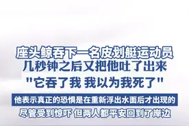 座头鲸吞下一名皮划艇运动员，几秒钟之后又把他吐了出来，"它吞了我 我以为我死了”他表示真正的恐惧是在重新浮出水面后才出现的，尽管受到惊吓，但两人都平安回到了岸边视频封面
