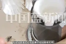 据报道，1KG羽毛球能做5件羽绒服！有部分商家为了获取廉价羽绒服填充物，跨地域收购二手羽毛球，将其上的刀翎羽毛拆解后粉碎，制成飞丝。#曾经打过的羽毛球正钻入你的羽绒服视频封面
