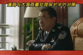 卧底警察录制了公安人员包庇赌博场所的相关视频，潘局与大家商量此事处理对策。#北京卫视真心英雄  #董勇   #宋洋视频封面