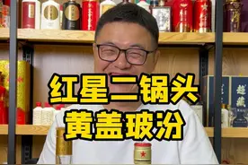 红星二锅头 和黄盖玻汾盲品对比
#红星二锅头 #黄盖玻汾 #汾酒 #清香型白酒 #超藏酒库视频封面