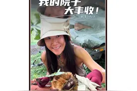 当一个中国人在海外小岛拥有八千平土地，种地基因觉醒了！视频封面