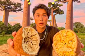 神奇的「猴面包树」，能吃❓能喝❓能住❓ #我是俊杰 #非洲 #旅行 #交换世界计划 #美食视频封面