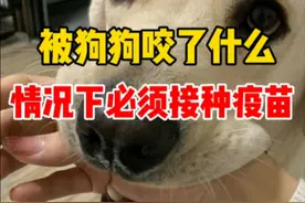 被小狗咬到了，什么情况下必须打狂犬疫苗 #被狗狗牙齿刮伤了 #被狗狗咬视频封面