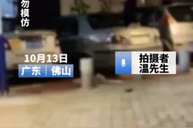 熊孩子啊！孩子跳到私家车上不停踩踏 拍摄者称车顶被踩塌了视频封面
