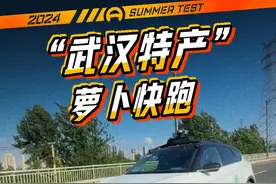 “武汉特产”萝卜快跑#2024懂车帝夏测 #柚子不开车视频封面