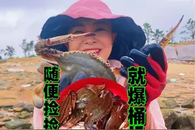 赶海只抓螃蟹就爆桶是啥体验！小章礁石区搬石块，每个下面都有货视频封面