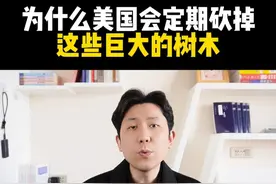 为什么美国会定期砍掉一些巨大的树木，植物界的竞争法则甚至比动物界更狠#内容启发搜索