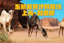 东航新开沙特航线，上海-利雅得即将首航！视频封面
