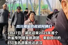 湖北迎来2025年首个外省专列银发旅游团，850多名四川游客开启春日赏花之旅视频封面