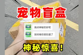 粉丝送来2个宠物盲盒！说里面有神秘惊喜！开箱后果然把我惊到了视频封面
