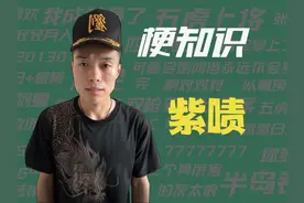 【梗知识】紫啧 #梗 #紫啧 #川子视频封面