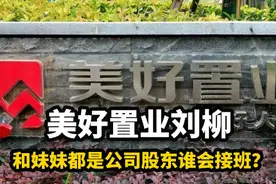 美好置业刘柳 和妹妹都是公司股东谁会接班？视频封面