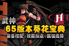 dnf手游武神65版本葵花宝典-装备搭配、技能加点、属强选择视频封面