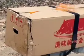 清明节让祖先也体验了一把高科技！村民用无人机和机器狗运送祭品上山祭祖。网友：清明祭祖只服华南F3 #AI上南宁很容易  #清明祭祖  #AI上广西很容易视频封面