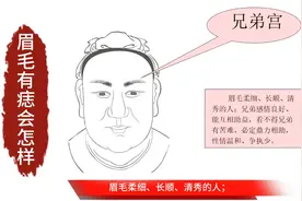 眉毛有痣会怎样 相学#相学 #面相 #相学识人 #眉毛视频封面