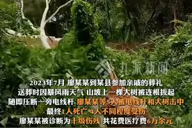 7月9日报道，四川雅安，#送葬队伍被大树和电杆砸中致1死4伤 ，一伤者起诉电力公司索赔29万余元，法院：电力公司担责20%，赔偿4.2万元。视频封面