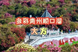 多彩贵州顺口溜（44）：大方 古彝圣地是大方，蜀汉初兴历史长视频封面