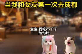 当我第一次和女友去成都旅游时 #猫meme #万万没想到 #搞笑视频封面