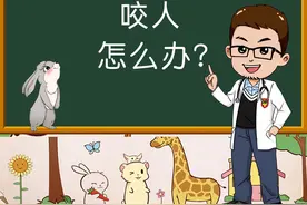 兔子总是咬人怎么办？为什么兔子会咬人？#宠物兔视频封面