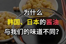 为什么韩国、日本的酱油，与我们的味道不同？ #酱油视频封面