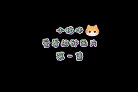 第一集，专门给猫看的动画片#猫咪动画片 #猫咪 #萌宠视频封面