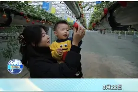 时下正值草莓季，刚刚过去的周末，不少人来到棘洪滩街道绿沃川草莓大棚里采摘草莓，休闲娱乐。#城阳 #草莓 #草莓采摘 #同城发现#游玩好去处 
记者：刘云海  编辑：邱洁仪视频封面