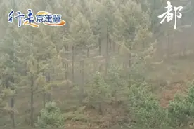 【#塞罕坝入秋了  ！层林尽染，云雾缭绕】秋日，位于河北省承德市围场满族蒙古族自治县的塞罕坝国家级自然保护区层林尽染。从9月中下旬开始，是塞罕坝最绚丽的时候。塞罕坝景点众多，包括有七星湖、滦河源头、泰丰湖、塞罕塔、康熙点将台等等。秋日里各景点美得各不相同、各有特色。塞罕坝是在“黄沙遮天日，飞鸟无栖树”的荒漠沙地上，经过三代人六十多年的艰苦奋斗、甘于奉献，创造出了荒原变林海的人间奇观。#行走京津冀视频封面