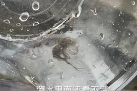 把寄生恶魔铁线虫，放进100度的开水中会发生什么？视频封面
