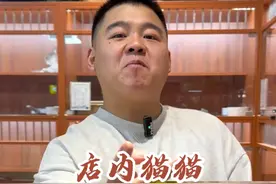 对这种小包子脸的美短没有一点抵抗力#壮实说猫 #美短起司视频封面