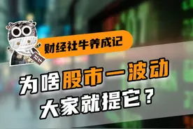 屡被提及的平准基金是什么？#股市 #科普 #投教 #掘金计划2024视频封面