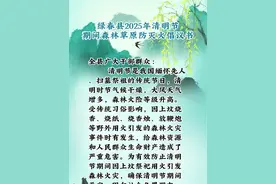 绿春县2025年清明节期间森林草原防灭火倡议书#绿春县 #绿春春常绿 #清明节 #森林防火人人有责视频封面