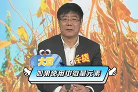 如何使用中微量元素？ #大豆  #来抖音学农技  #新农人计划2024视频封面