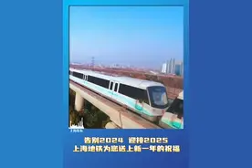 列车即将到站2025，奔波一年的你，是否有满意答案？上海地铁为您送上新一年的祝福。（供稿：申通地铁）视频封面