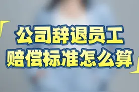 公司辞退员工的赔偿标准该怎么算呢？ #劳动争议 #辞退赔偿 #辞退补偿 #太原律师 #法律常识视频封面
