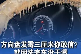 重庆女子洗完车停车库9天，高温高湿导致整车发霉，方向盘上的霉菌长达三厘米“洗完着急用车 车内没干透”（感谢@咩咩杨 分享）#万万没想到 #生活记录