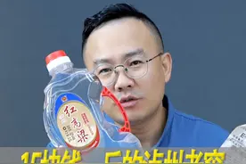 15块钱一斤的泸州红高粱酒测评，泸州老窖出品口粮酒 #一波说酒视频封面
