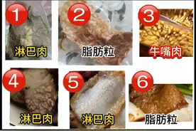 颗粒的都是淋巴肉？淋巴肉和脂肪粒的区别？ #食品安全 #淋巴肉 #牛肉