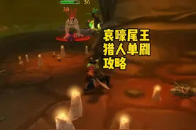 23猎人单刷哀嚎尾王 #魔兽世界 #魔兽世界plus #魔兽世界怀旧服视频封面