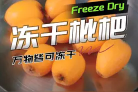 《冻干枇杷》看看枇杷冻干后会偏酸还是偏甜？ #冻干水果 #枇杷 #冻干技术视频封面