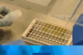 关注世界艾滋病日视频封面