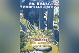 激励、补贴来了！四川出台18条重磅政策措施#四川 #政策 #补贴视频封面