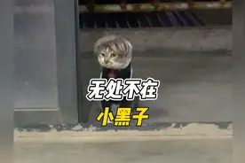 盘点无处不在的小黑子，这是一个比较久远的梗了#小黑子 #ikun视频封面