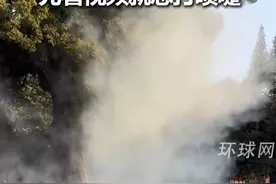 北京天坛公园3.3万株柏树花粉爆发，光看视频就想打喷嚏视频封面