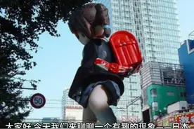 海外扩张与本土回响：日本经济的双轨效应 #投资 #日本 #跨国投资视频封面