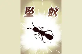 蚂蚁跳楼为什么不会摔死？ #原创动画 #冷知识 #科普 #蚂蚁视频封面